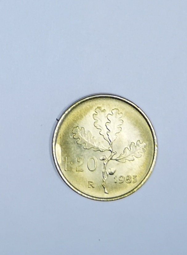 sena coins